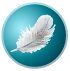 Plume meilleur graphiste